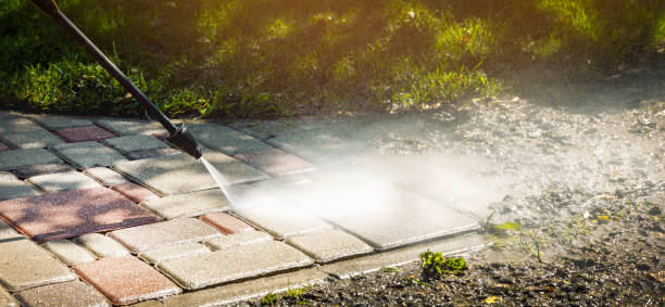 Best Soft Washing  in Blaine, WA